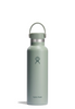 HYDRO FLASK 210Z STANDARD FLEX CAP - AGAVE - WILDROSE