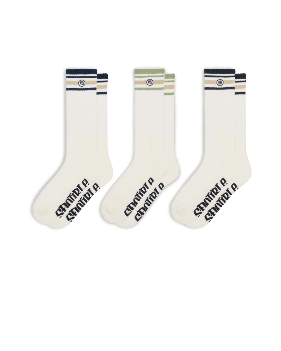 S DOUBLE STRIPE S -DOT SOCK 3PK  - WILDROSE