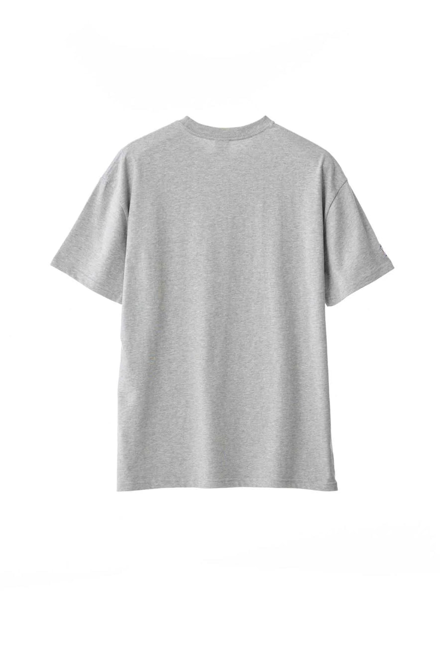 XLARGE TWO THOUSAND SS TEE - TRUE GREY MARLE - WILDROSE